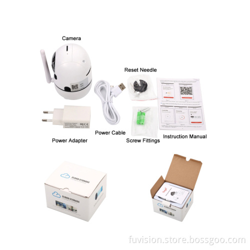 Hidden Infrared Night Vision IP Camera